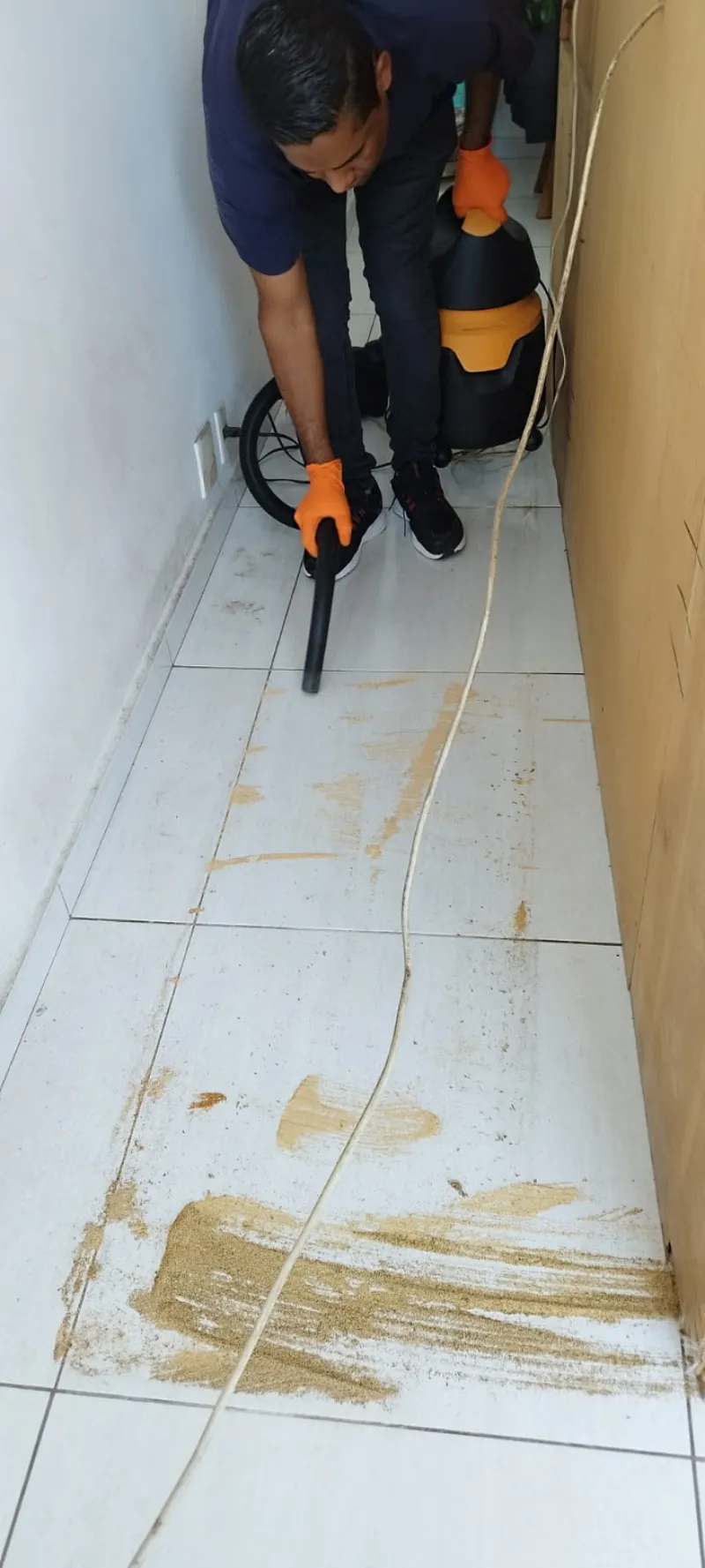 Imagem ilustrativa de Controle biologico de cupim