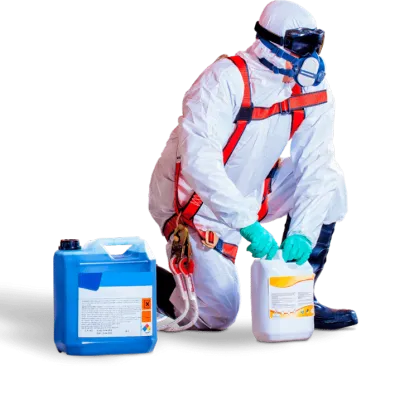 Ilustração da Tigre